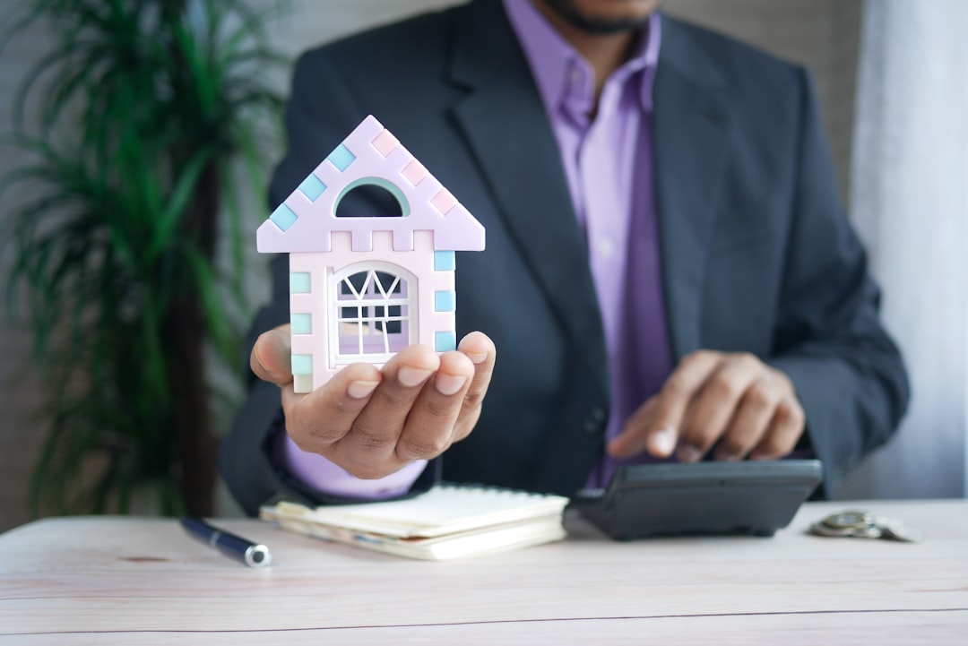 Alternative Mortgage Repayment Strategies